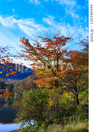 赤城大沼　湖畔からの眺め　秋色の風景 120396444
