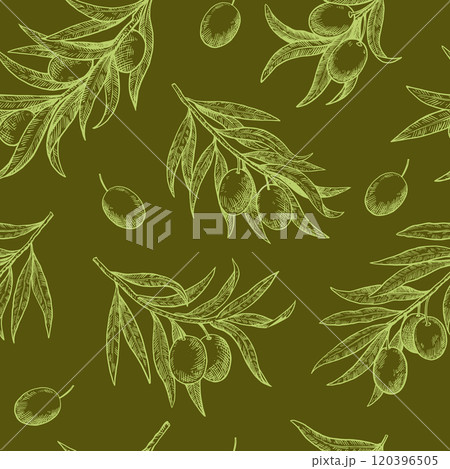 Monochrome seamless pattern of olive branches in engraving style. Hand-drawn illustration for design and decor. 120396505