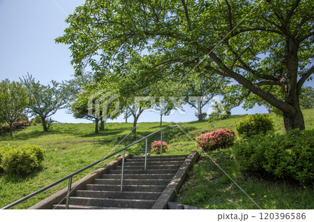 富岡西公園　神奈川県横浜市金沢区富岡西 120396586