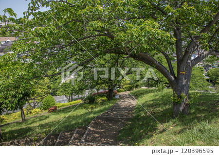 富岡西公園　神奈川県横浜市金沢区富岡西 120396595