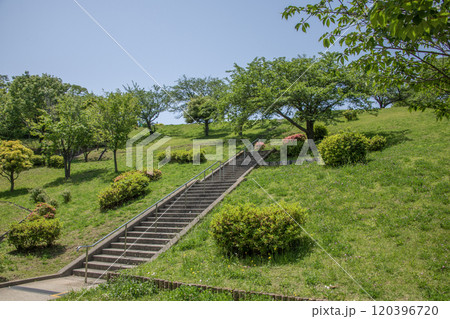 富岡西公園　神奈川県横浜市金沢区富岡西 120396720
