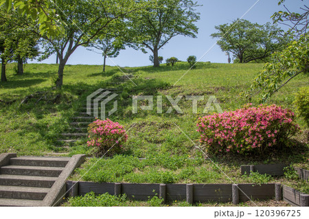 富岡西公園 神奈川県横浜市金沢区富岡西 富岡西公園 神奈川県横浜市金沢区富岡西 120396725