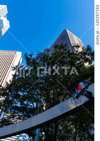 新宿副都心 信号機と街路樹と高層ビル 2024.11　b-1 120397168