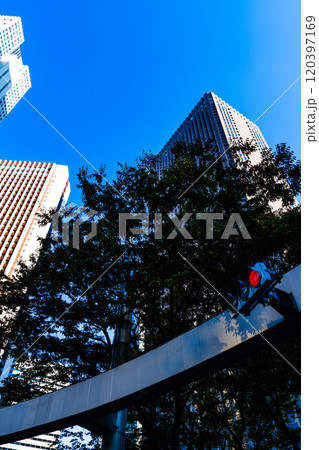 新宿副都心 信号機と街路樹と高層ビル 2024.11　b-2 高彩度コントラスト 120397169