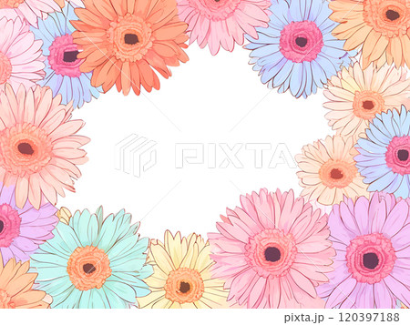 カラフルなガーベラの丸いフレーム 120397188