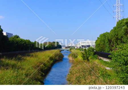 埼玉県三郷市第二大場川2024年11月 120397243