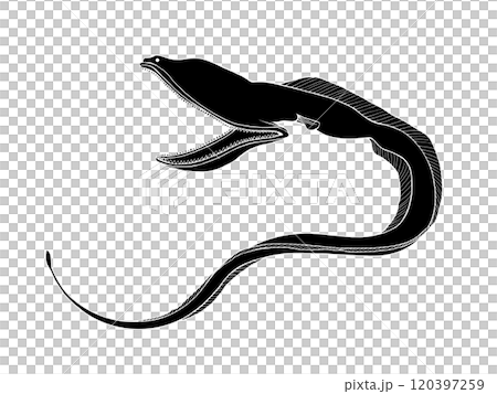 フクロウナギの白黒イラスト（白抜きあり） 120397259