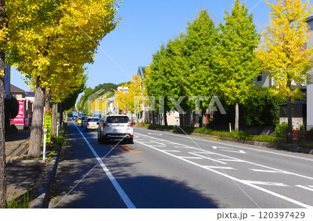 茨城県守谷市常総ふれあい道路沿線2024年11月 120397429