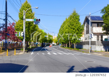 茨城県守谷市常総ふれあい道路沿線2024年11月 120397432