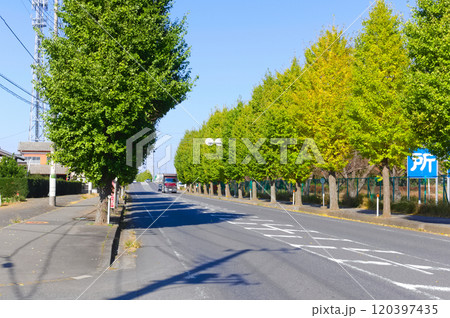 茨城県守谷市常総ふれあい道路沿線2024年11月 120397435