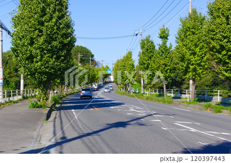 茨城県守谷市常総ふれあい道路沿線2024年11月 茨城県守谷市常総ふれあい道路沿線2024年11月 120397443