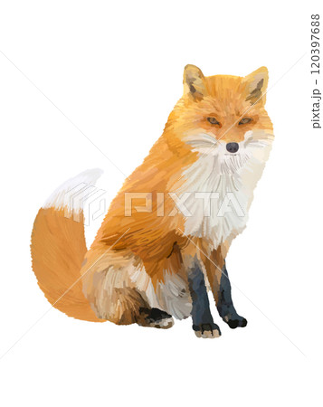 きつね 120397688
