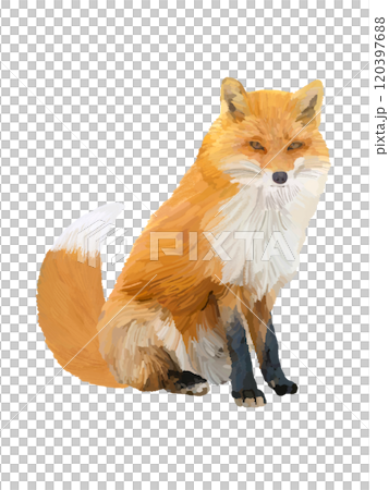 きつね 120397688
