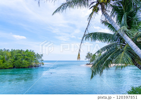 Summer sea with Palm trees,Blue sky white clouds background Summer sea with Palm trees,Blue sky white clouds background 120397851
