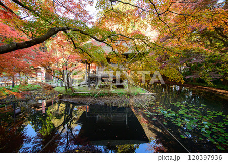 世界遺産中尊寺 秋色に染まる弁財天堂の朝 岩手県 世界遺産中尊寺 秋色に染まる弁財天堂の朝 岩手県 120397936