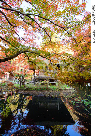 中尊寺　秋の絶景　弁財天堂の朝　岩手県 120397969