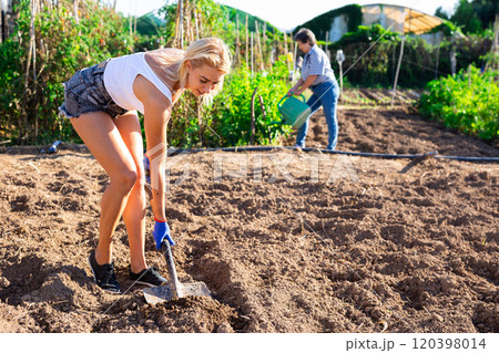 Young woman farmer caring for sprouts on plantation Young woman farmer caring for sprouts on plantation 120398014