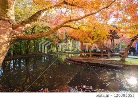 世界遺産中尊寺　朝焼けに染まる弁財天堂の朝　岩手県 120398053