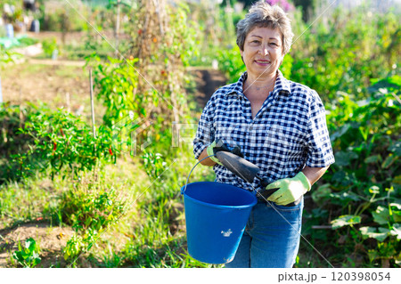 Positive elderly female gardener in backyard garden 120398054