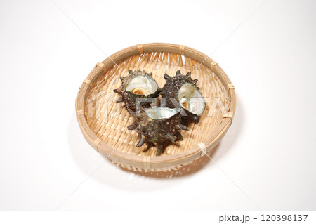 竹ザルにのっているサザエ 120398137