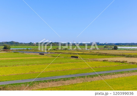 千葉県柏市新大利根橋周辺2024年11月 千葉県柏市新大利根橋周辺2024年11月 120399036