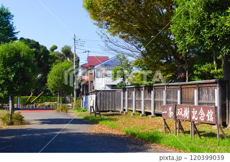千葉県流山市一茶双樹記念館周辺2024年11月 千葉県流山市一茶双樹記念館周辺2024年11月 120399039