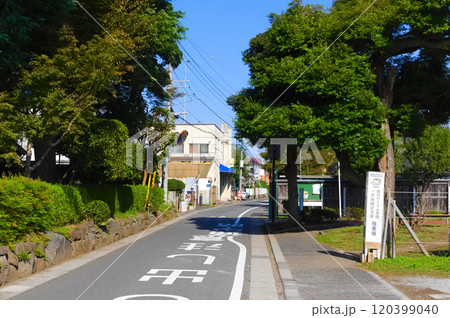 千葉県流山市一茶双樹記念館周辺2024年11月 千葉県流山市一茶双樹記念館周辺2024年11月 120399040