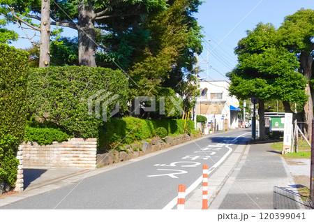 千葉県流山市一茶双樹記念館周辺2024年11月 千葉県流山市一茶双樹記念館周辺2024年11月 120399041