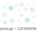 手描きの雪の結晶セット 120399498