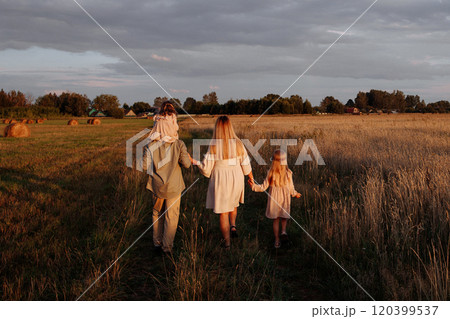 A family of four is walking through a field of tall grass. Rear view. 120399537