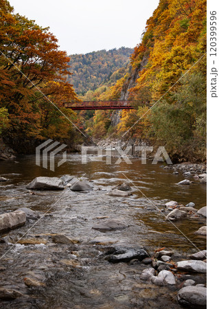 定山渓の紅葉 120399596