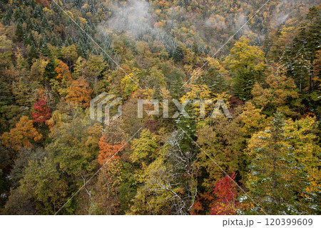 定山渓の紅葉 定山渓の紅葉 120399609