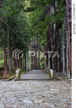 身延山　久遠寺　菩提梯 120399679