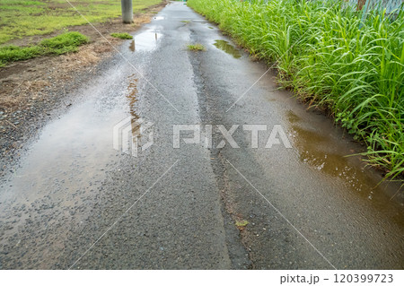 水たまりが出来る狭い舗装道路 120399723