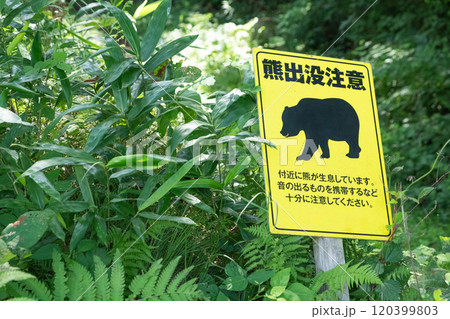 熊出没注意の標識イメージ　(写真素材) 120399803