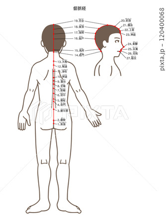 鍼灸の経穴、督脈、ツボのイラスト 120400068