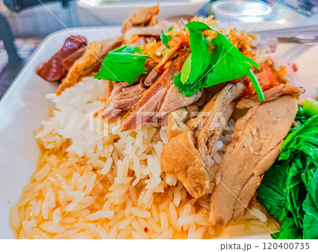 Rice with roasted duck, another popular Thai dish for street food lovers. Rice with roasted duck, another popular Thai dish for street food lovers. 120400735
