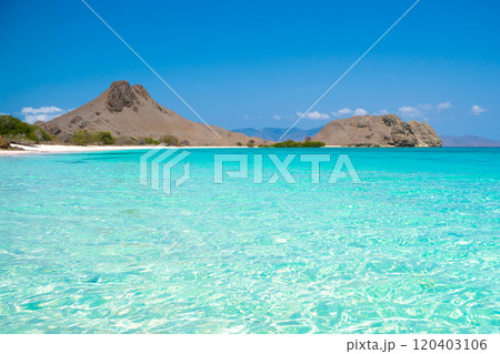 インドネシア・コモド国立公園の絶景　ピンクビーチの景観 120403106