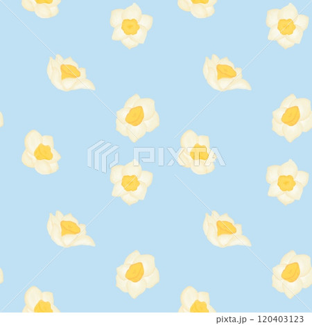 seamless pattern with Narcissus is the birth flower of December. seamless pattern with Narcissus is the birth flower of December. 120403123