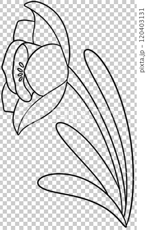 Narcissus Coloring Pages flower of December 120403131