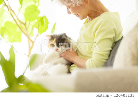 猫を抱っこする日本人シニア女性 猫を抱っこする日本人シニア女性 120403133