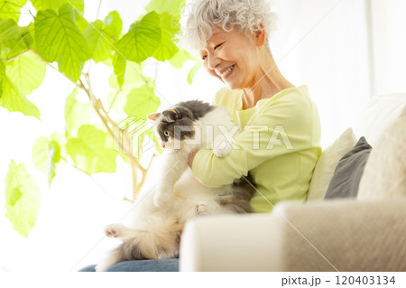 猫を抱っこする日本人シニア女性 猫を抱っこする日本人シニア女性 120403134