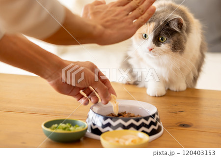 餌が気になり忍び寄る猫 餌が気になり忍び寄る猫 120403153