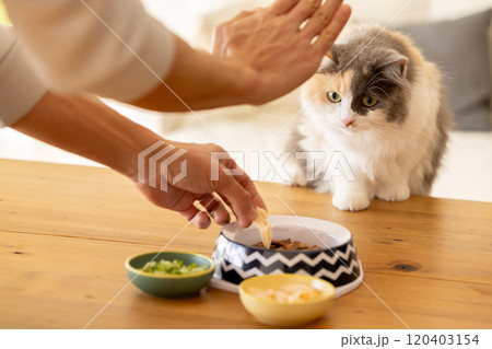餌が気になり忍び寄る猫 餌が気になり忍び寄る猫 120403154