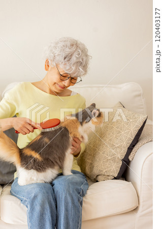 猫のブラッシングをするシニア女性 120403177