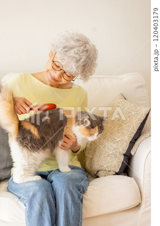 猫のブラッシングをするシニア女性 猫のブラッシングをするシニア女性 120403179
