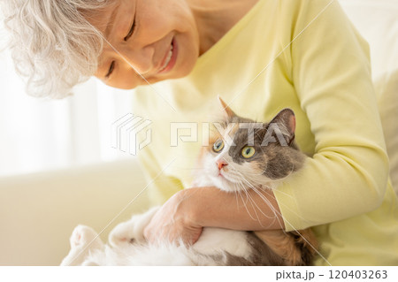 猫を抱っこする日本人シニア女性 猫を抱っこする日本人シニア女性 120403263