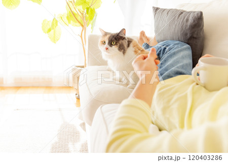 人間に寄り添う猫 120403286