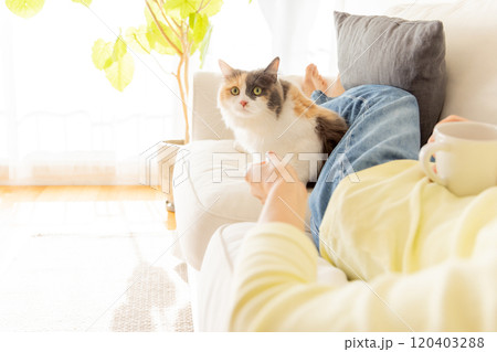 人間に寄り添う猫 人間に寄り添う猫 120403288