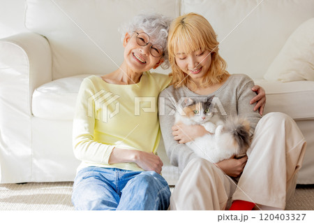 猫の居る暮らし 120403327